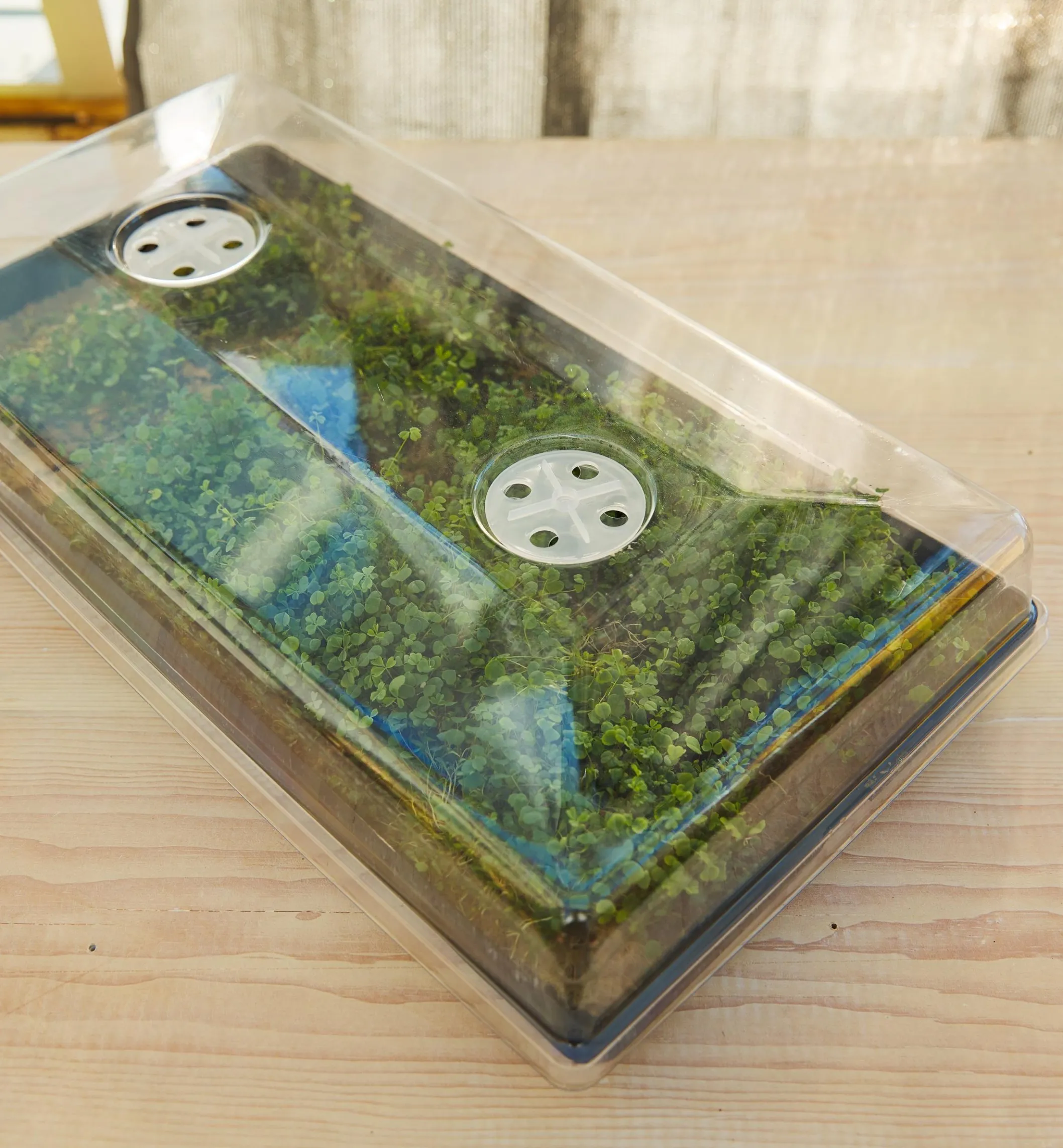 2 1/2" Humidity Dome