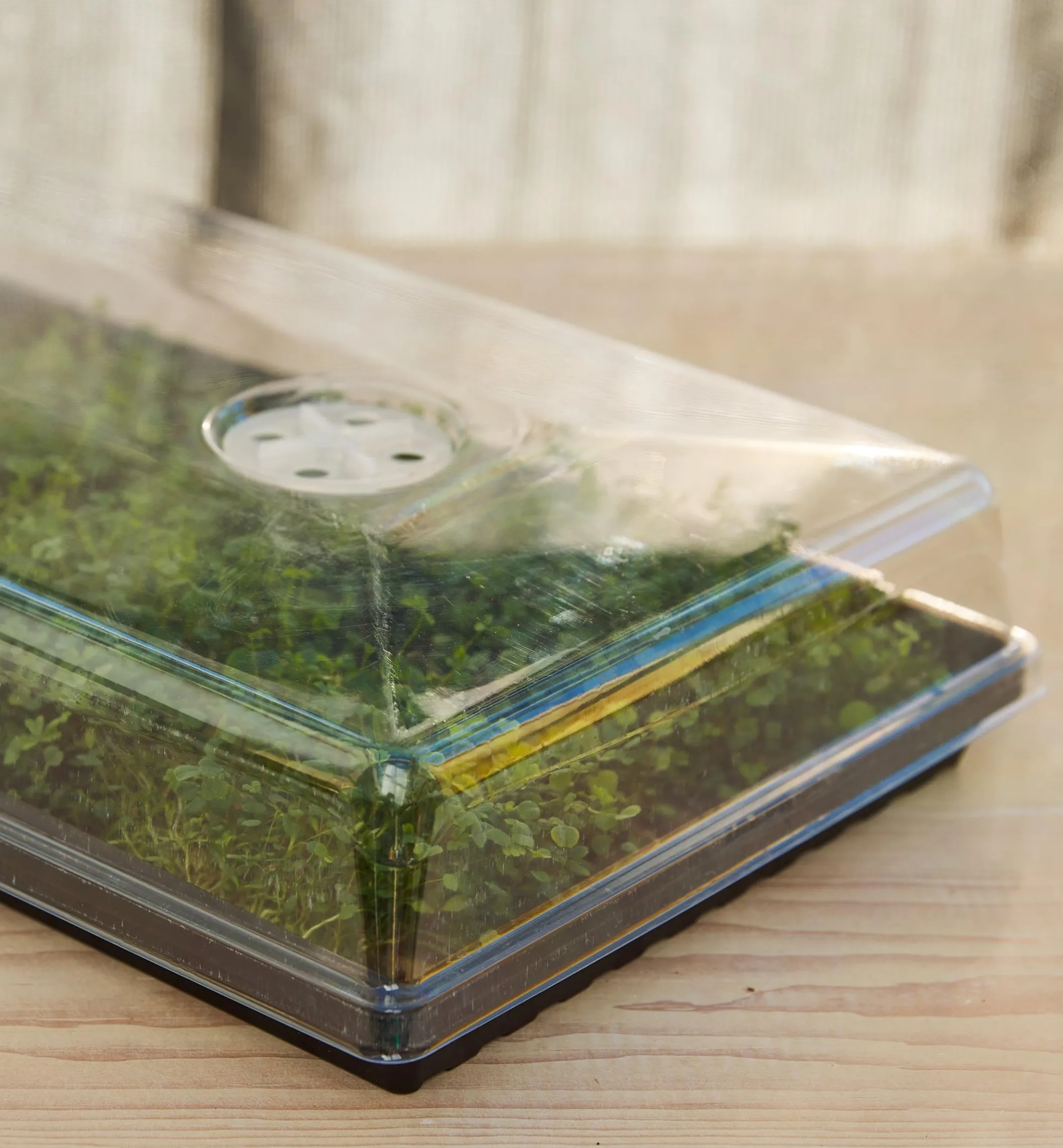 2 1/2" Humidity Dome