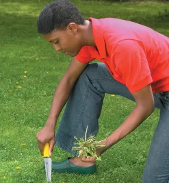 All-Purpose Lifetime Weeder