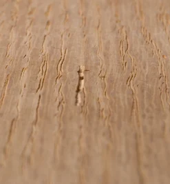 Aqua Coat Wood Grain Filler