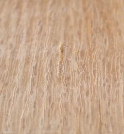 Aqua Coat Wood Grain Filler