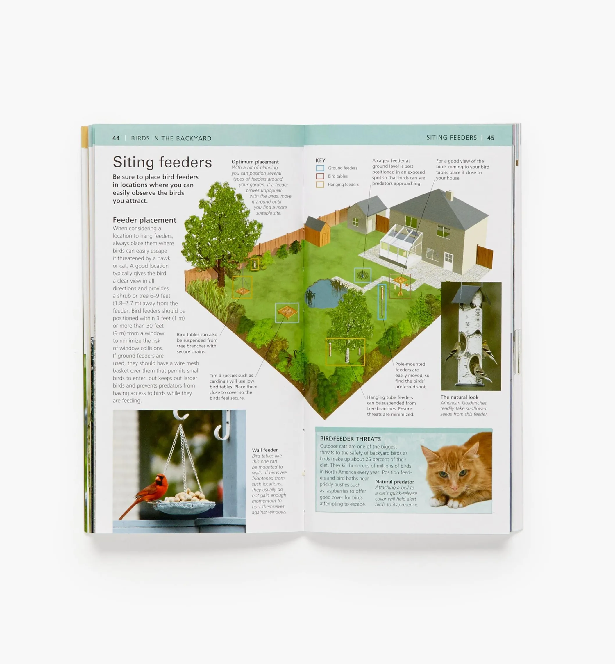 Audubon Pocket Backyard Birdwatch