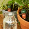 Automatic Plant Waterers