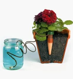 Automatic Plant Waterers