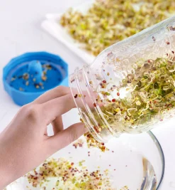 Bean Screen Sprouting Lids