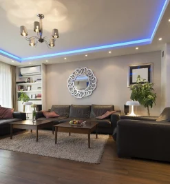 Color-Controller Signal Amplifier (12V)