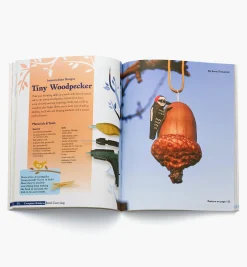 Complete Guide To Bird Carving