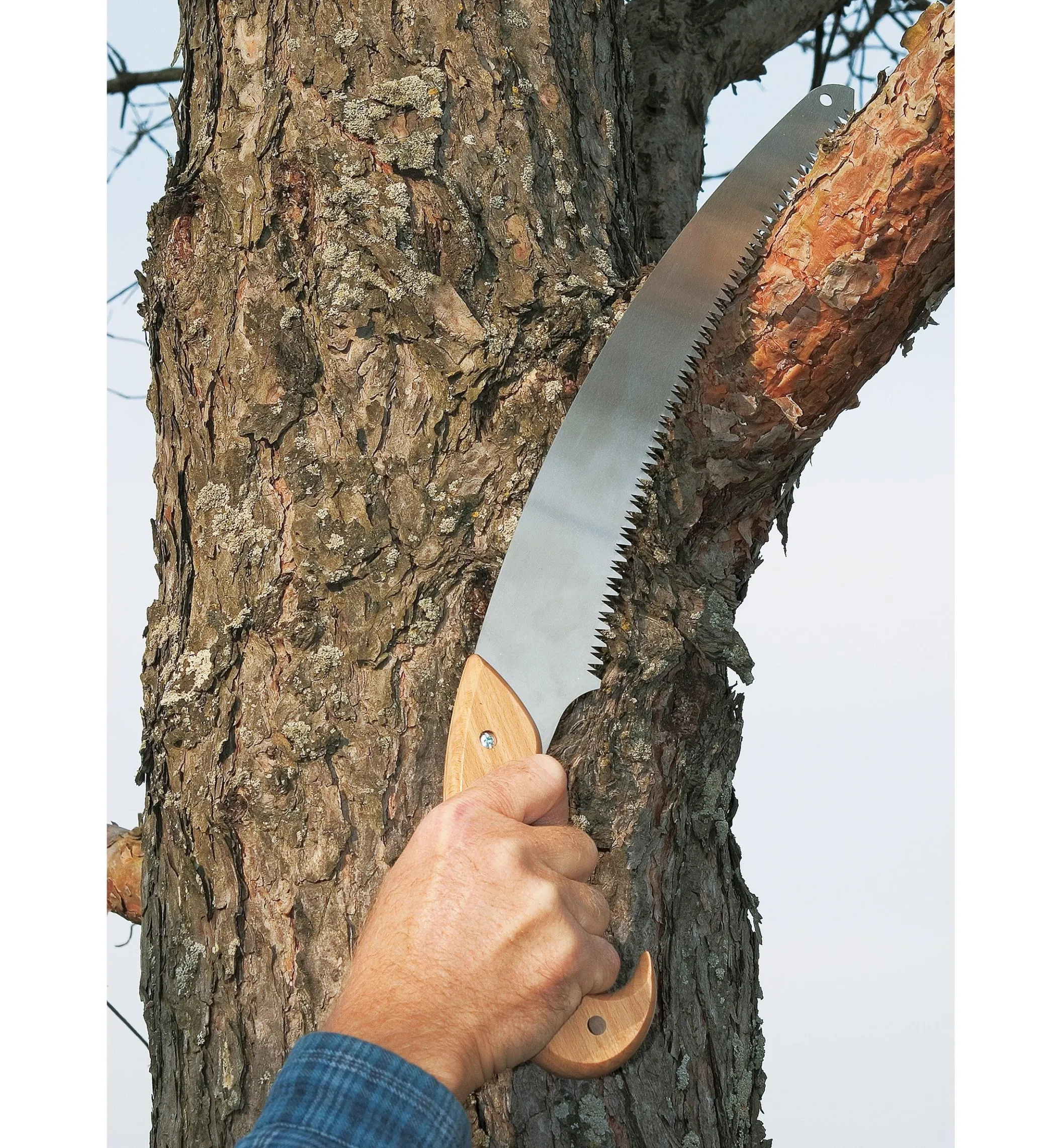 Curved Pruning Saw