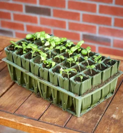 Deep Rootrainers Set