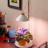 Desktop LED Grow Lamp