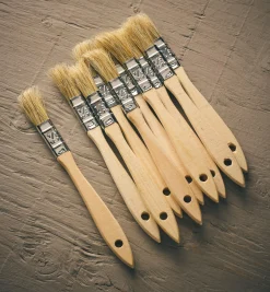 Disposable Natural-Bristle Brushes