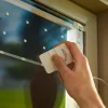 Feather Friendly Window Collision Tape
