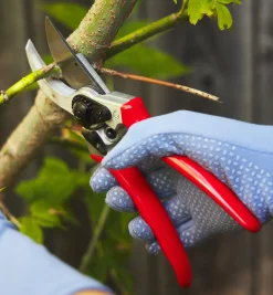 Felco Classic #2 Pruner & Pocket Knife