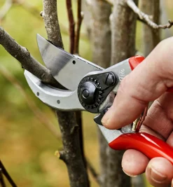 Felco Classic #2 Pruner & Pocket Knife