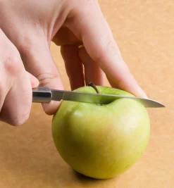 Folding Fruit Knife