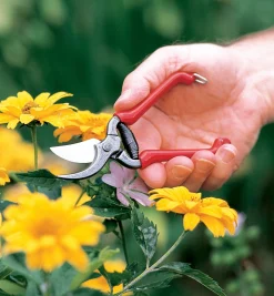 Forged Pocket Pruner