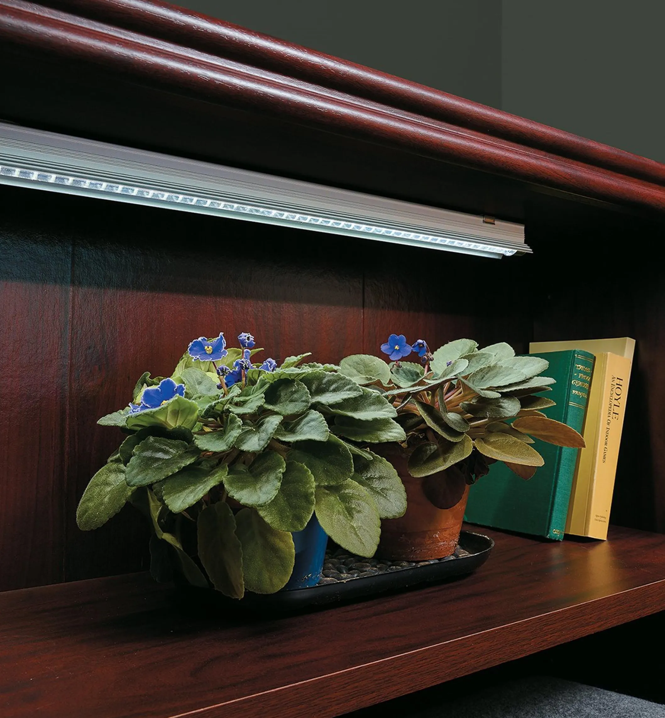 Full-Spectrum LED Grow Lights