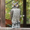 Garden Scare Owl