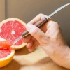 Grapefruit Knife