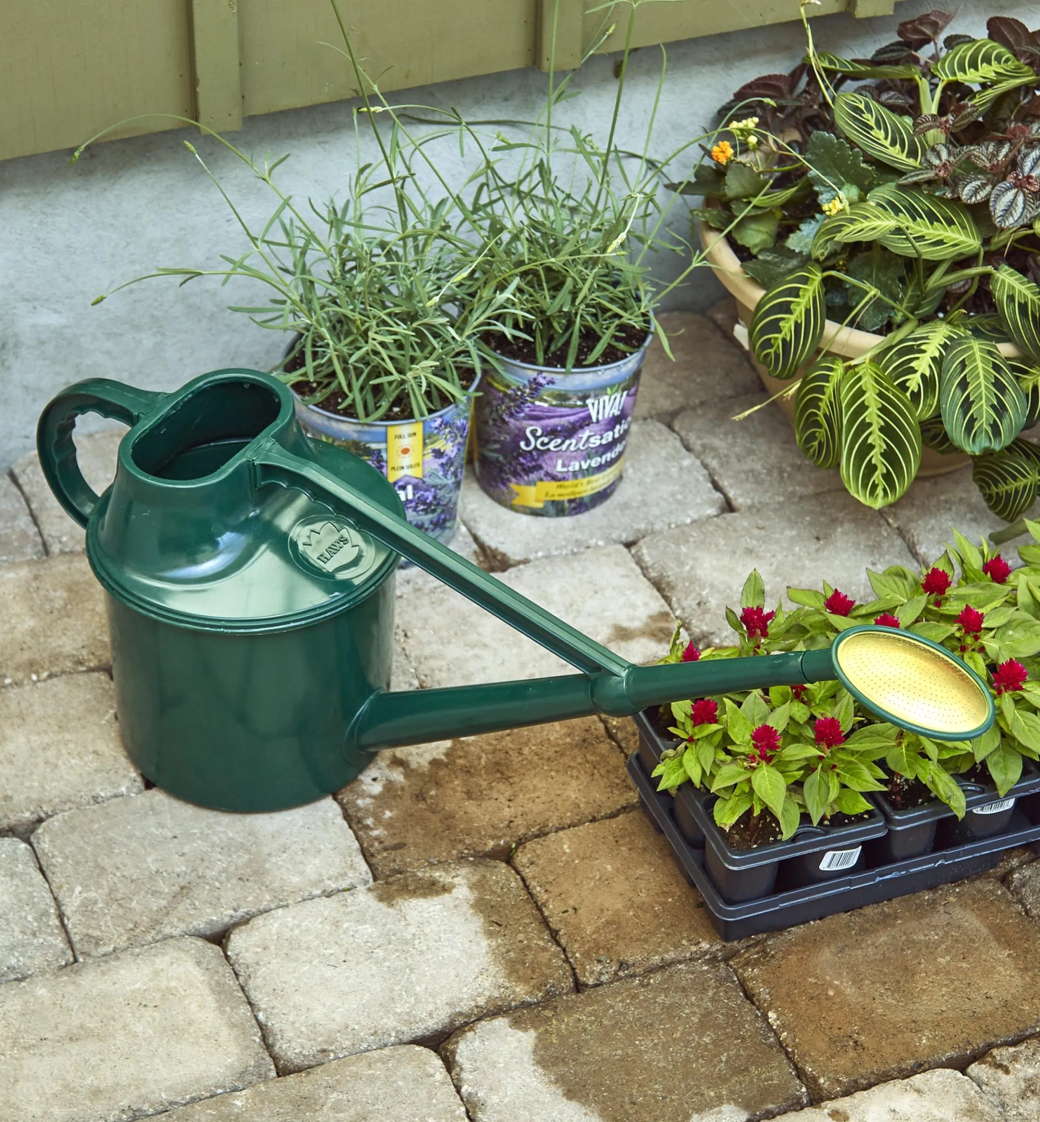 Haws Plastic Watering Can