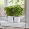 Herb Planter With Shears