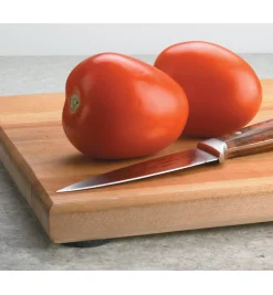 High-Friction Grip Discs