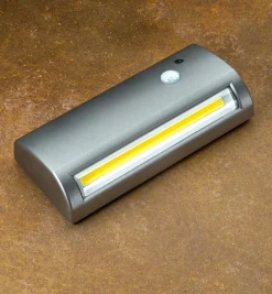 Indoor/Outdoor Motion-Activated Light