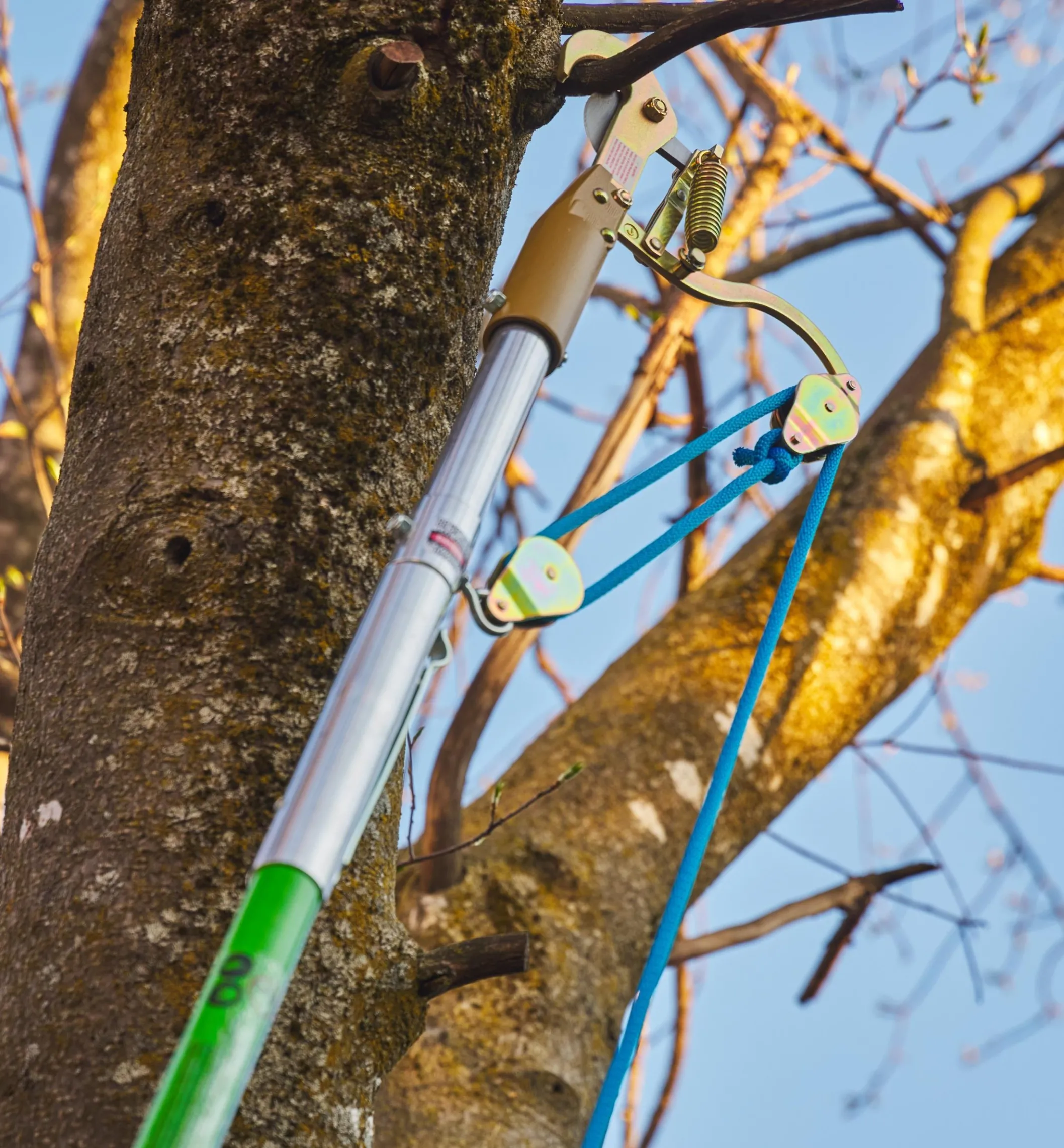 Jameson Professional Tree-Pruning Kit
