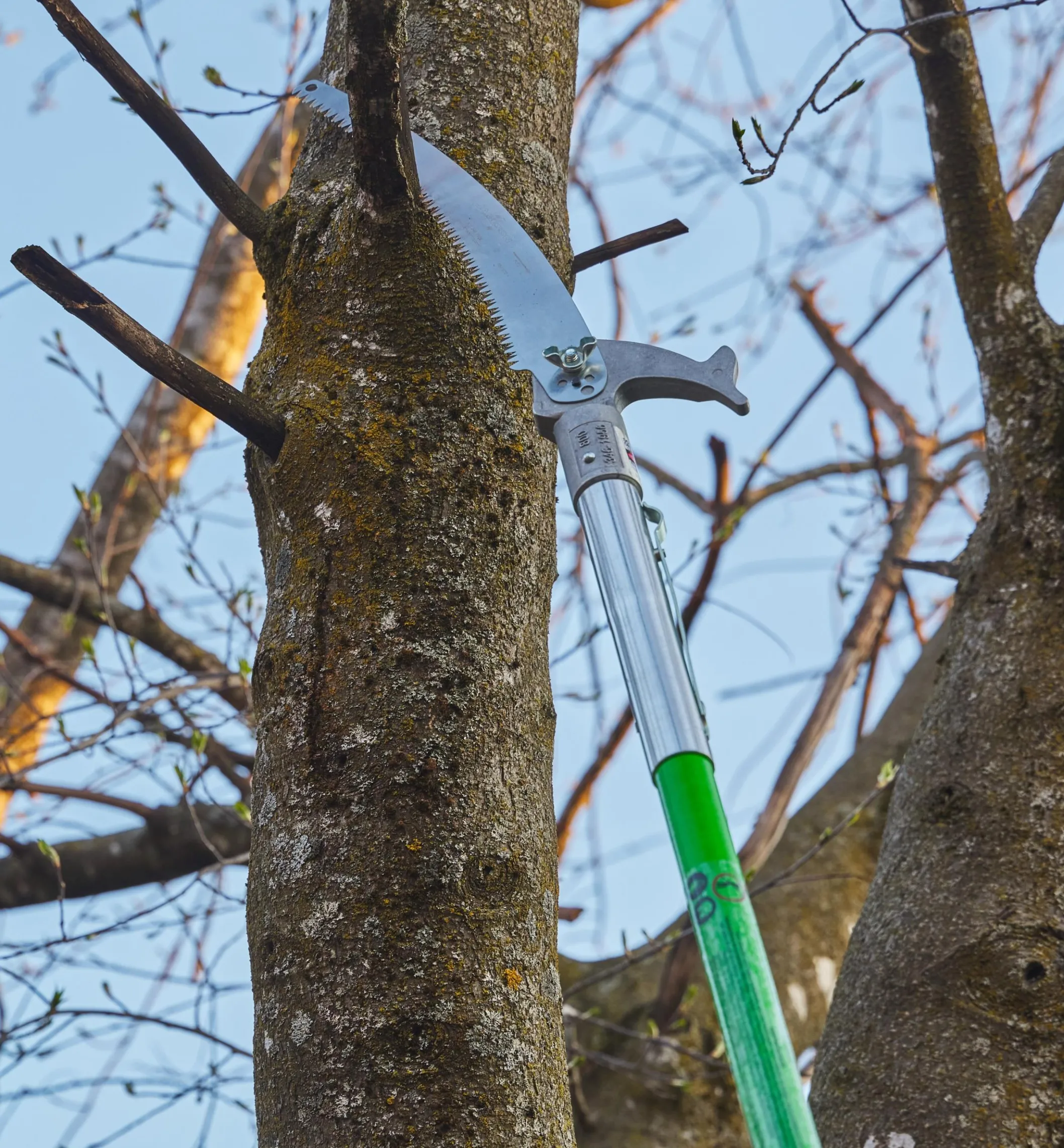 Jameson Professional Tree-Pruning Kit