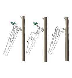 Jameson Professional Tree-Pruning Kit