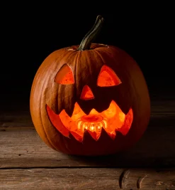 LED Road Beacon/Work Light