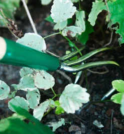 Lee Valley Claw Cultivator