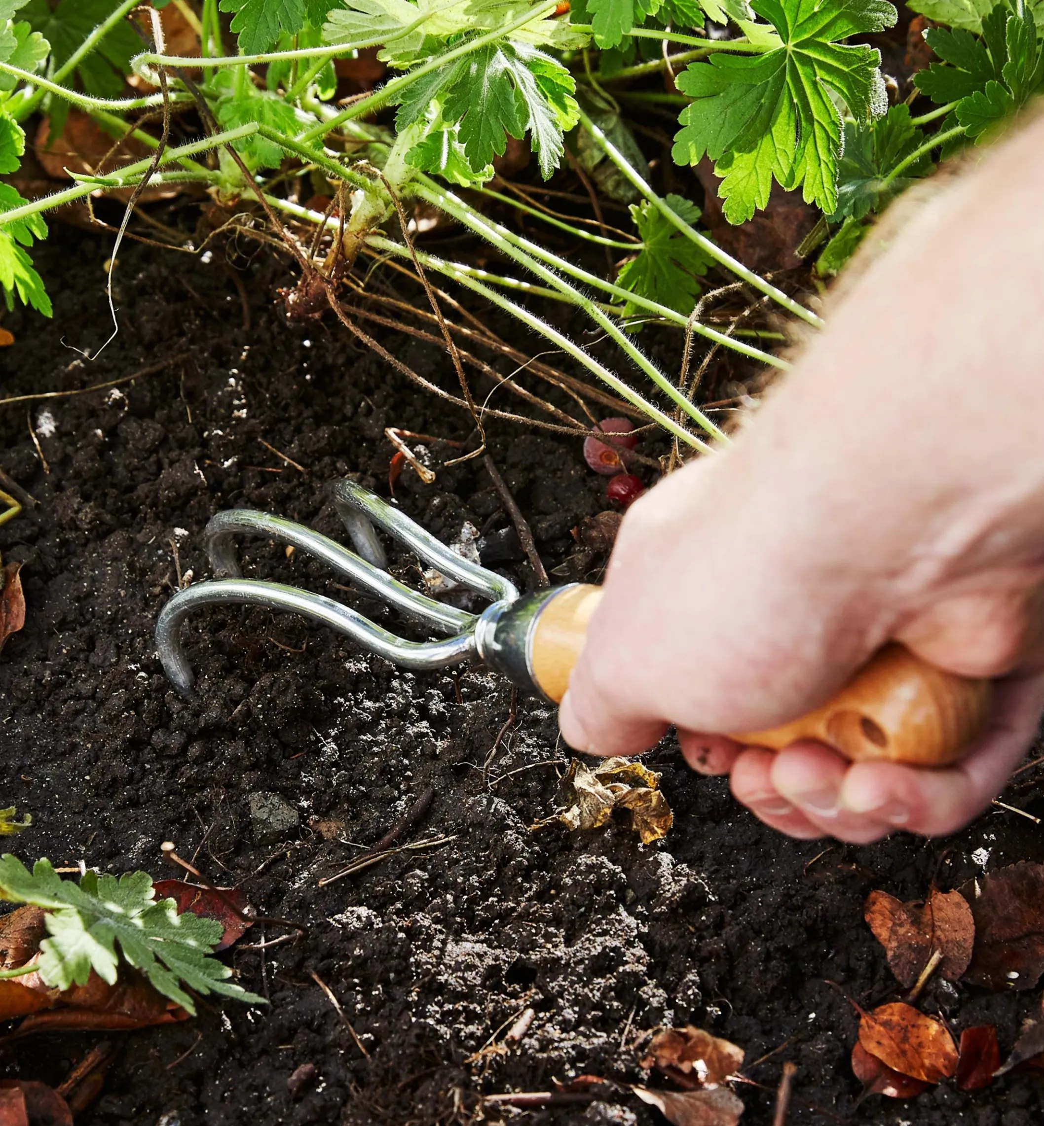Lee Valley Cultivators