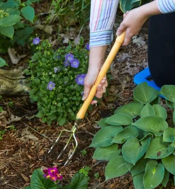 Lee Valley Perennial Fork