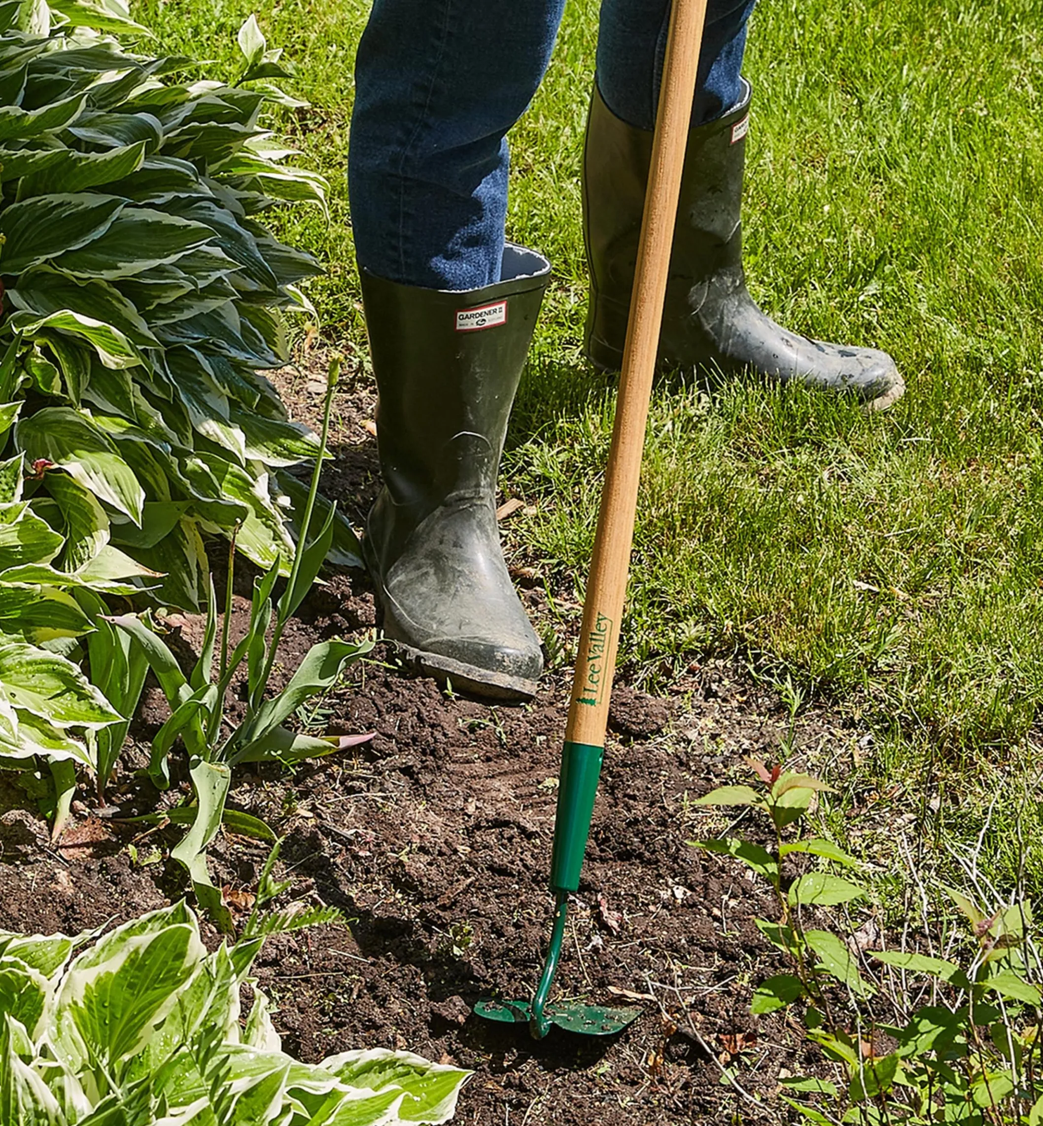 Lee Valley Slim Draw Hoe