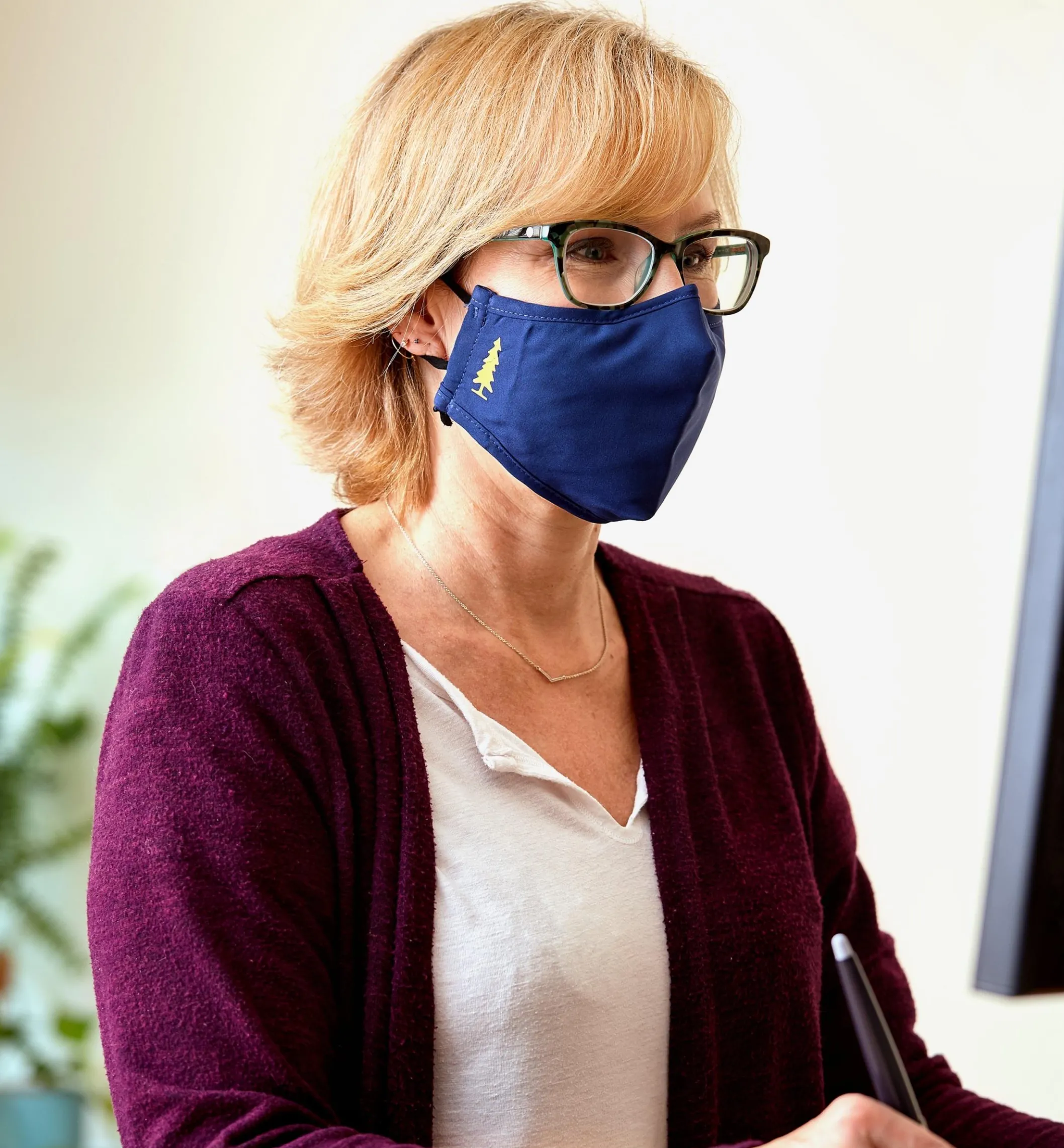 Lee Valley Three-Layer Face Masks