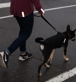 Magnetic Reflector Strips