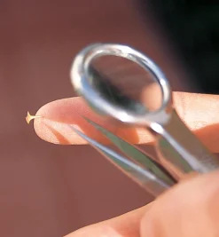 Magnifier Tweezers