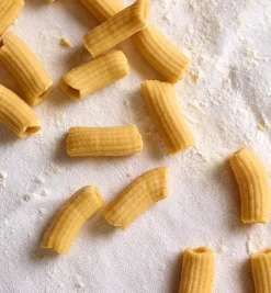 Marcato Pasta Extruder