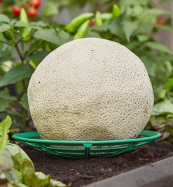 Melon/Squash Cradles