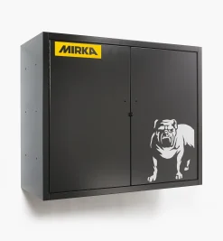 Mirka Wall-Mounted Storage Cabinet