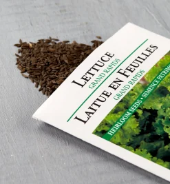 OSC Lettuce Seed Packets