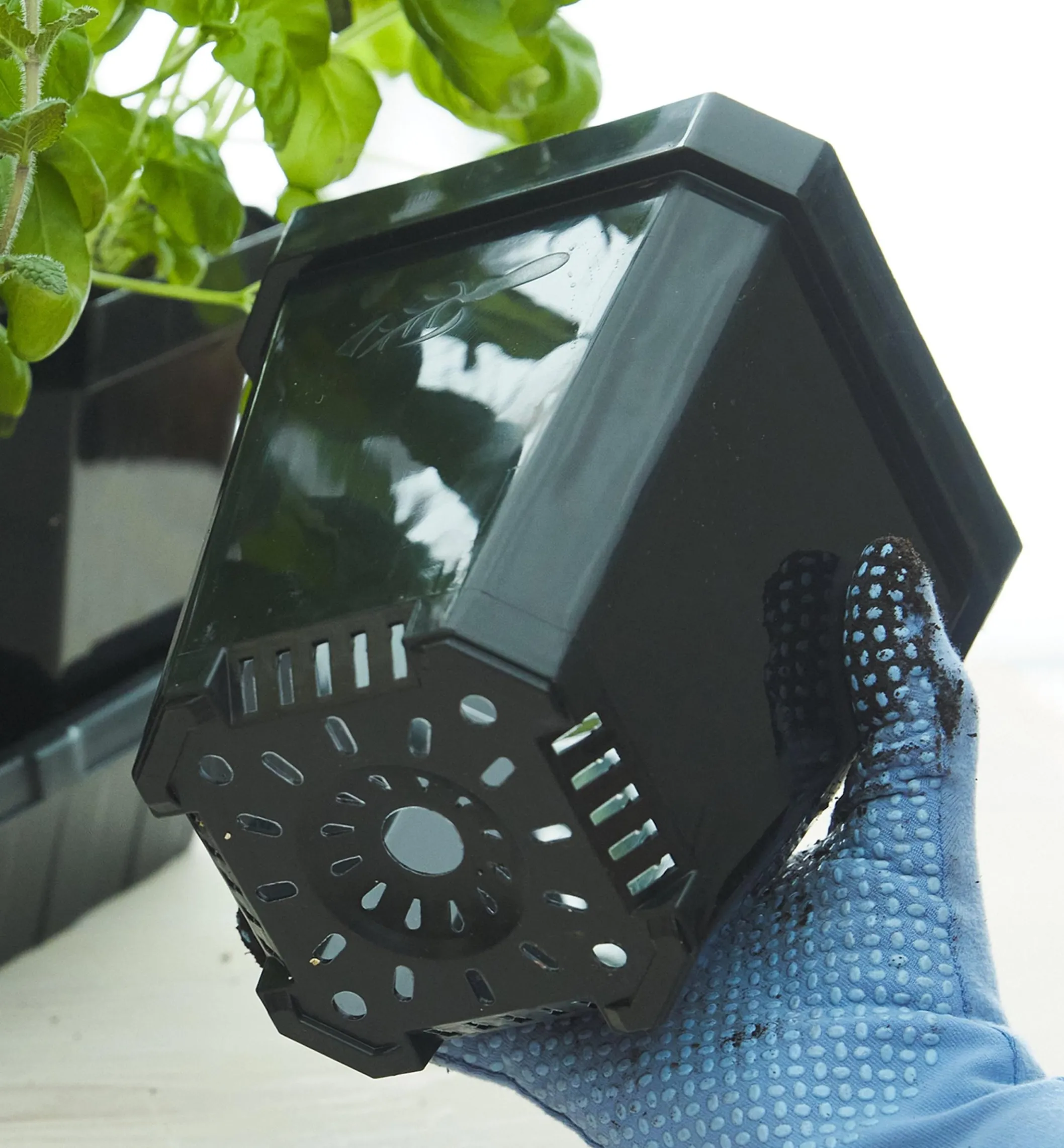 8-Pack Of 5" Pots With Propagation Tray