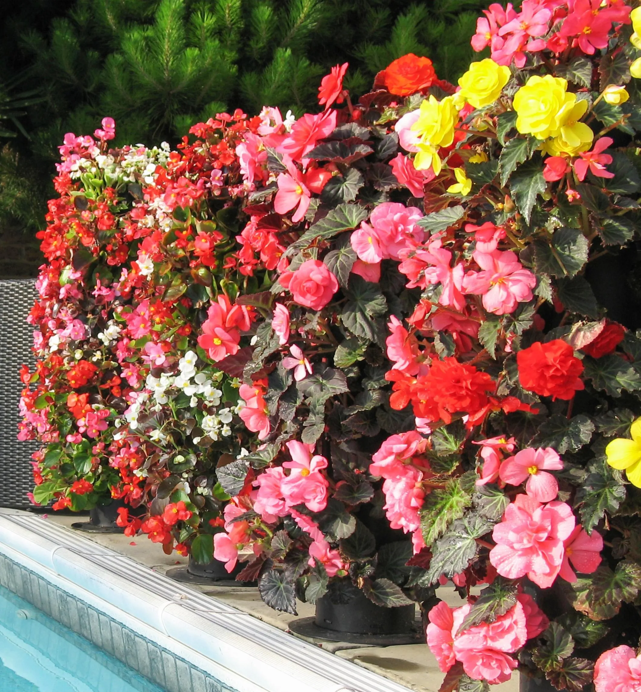 Pair Of Flower Towers