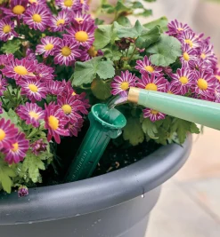 PlantWell Watering Bulb