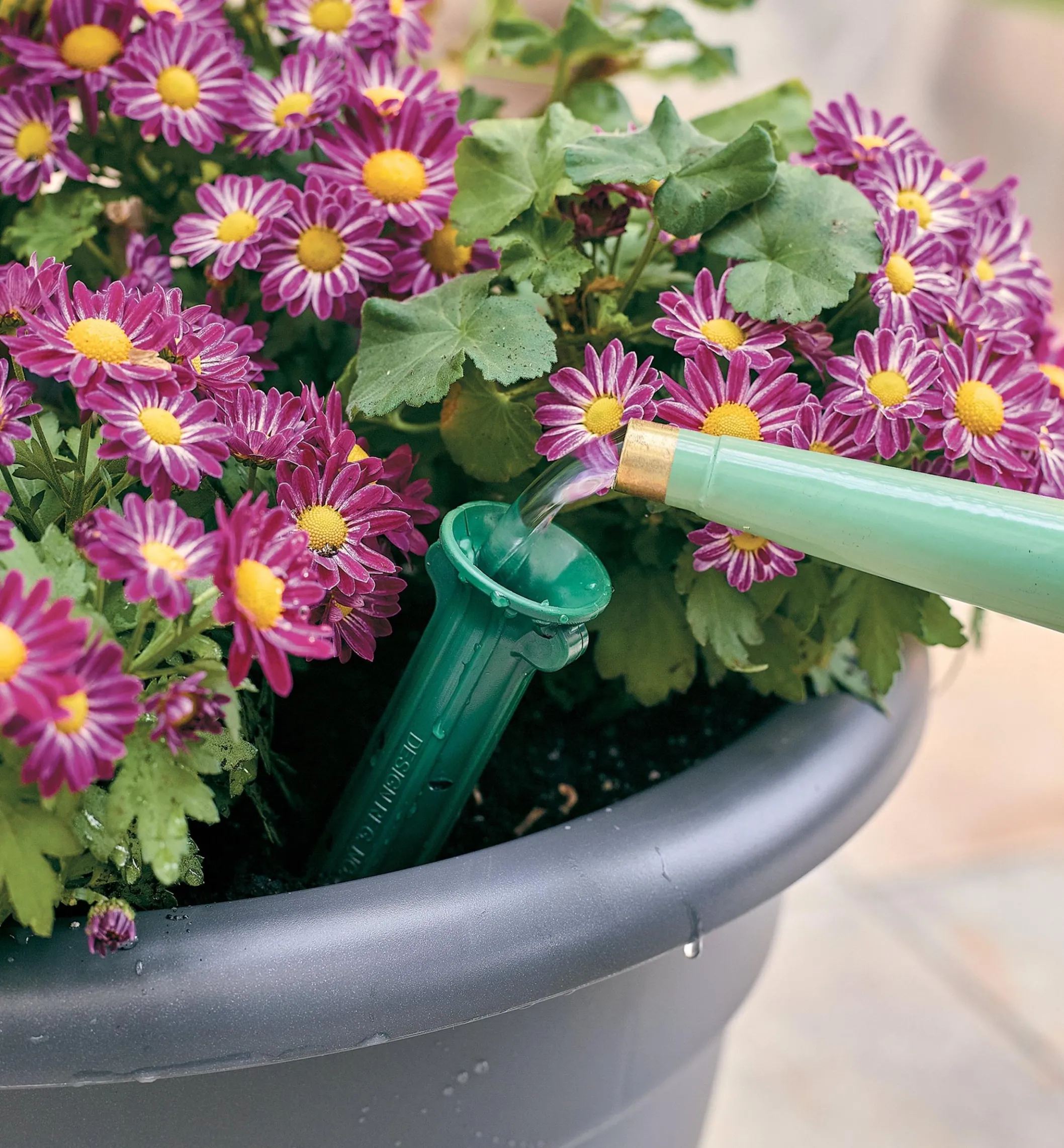 PlantWell Watering Bulb