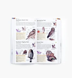 Pocket Birds Of Canada, 2nd Edition