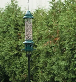 Pole Adapter For Squirrel Buster Plus