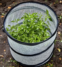 Pop-Up Plant Cover