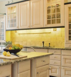 Proline Controller For RGB+W LED Tape Lights